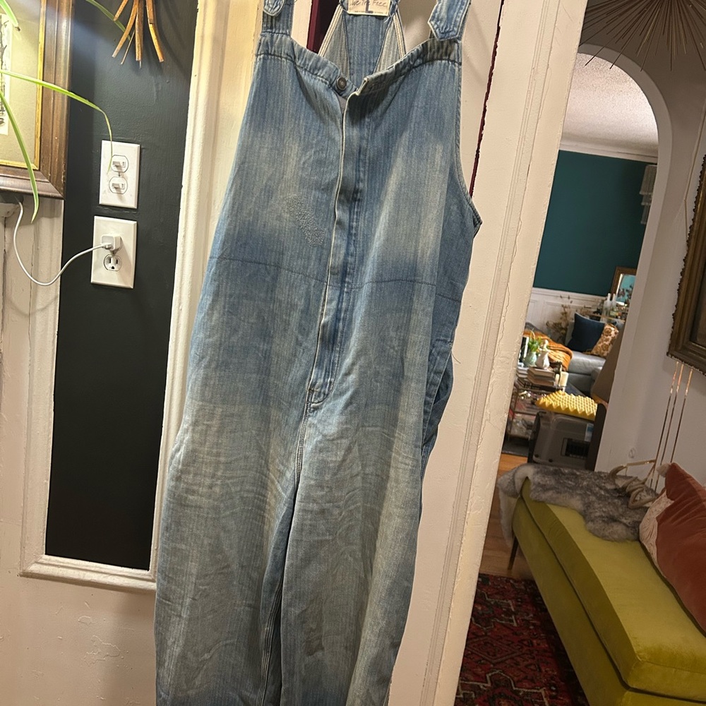 We The Free Light Blue Denim Overalls